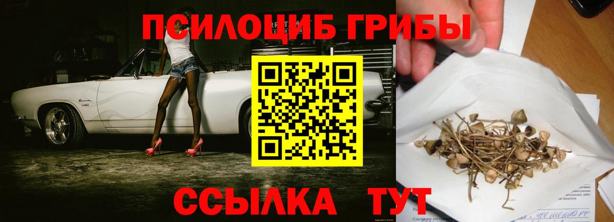 Галлюциногенные грибы Psilocybine cubensis  Вход с VPN  Галлюциногенные грибы прущие грибы  Ликино-Дулёво 
